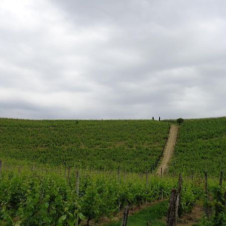 Gran Collina Villa San Damiano d'Asti Ngoại thất bức ảnh